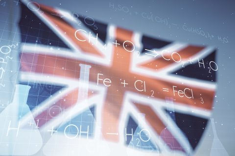 Английский онлайн: индивидуальные уроки с преподавателем