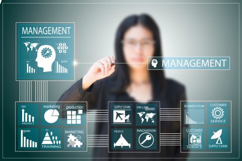 MBA по стратегическому менеджменту: годовая программа