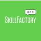 Онлайн-школа Skillfactory
